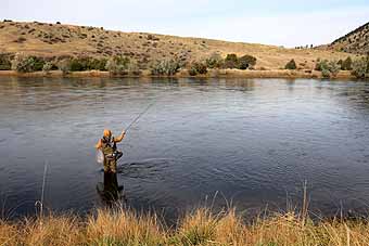 Missouri River fly fishing, Glacier National Park